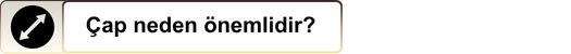 Döner Platform (3) (1)