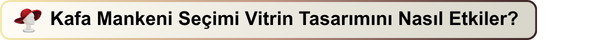 Kafa Mankeni Seçimi Vitrin Tasarımını Nasıl Etkiler?