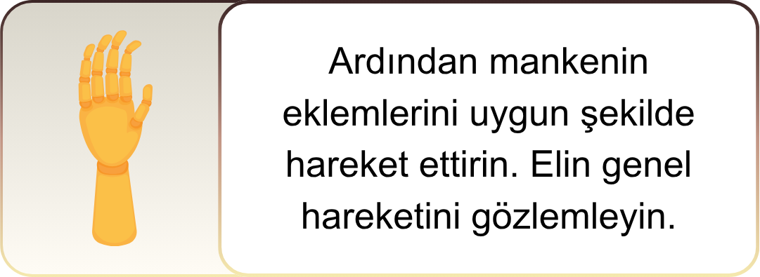 Ahşap El Manken
