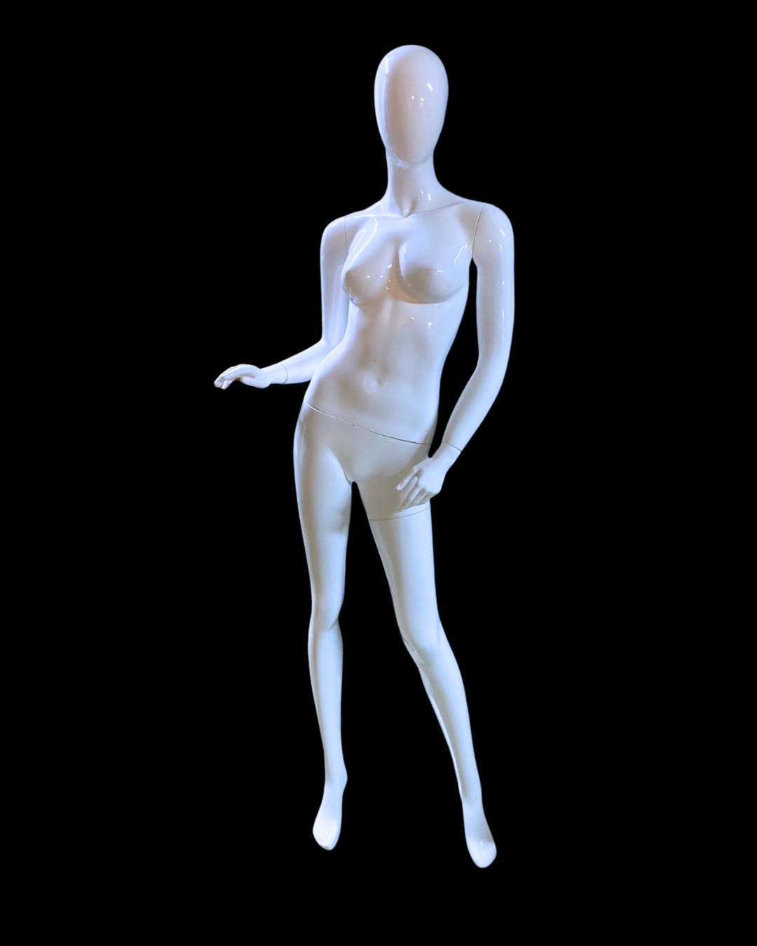 Vitrin Mankeni Kiralama | Uygun Fiyat Avantajı | İstanbul