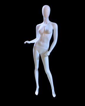 Vitrin Mankeni Kiralama | Uygun Fiyat Avantajı | İstanbul