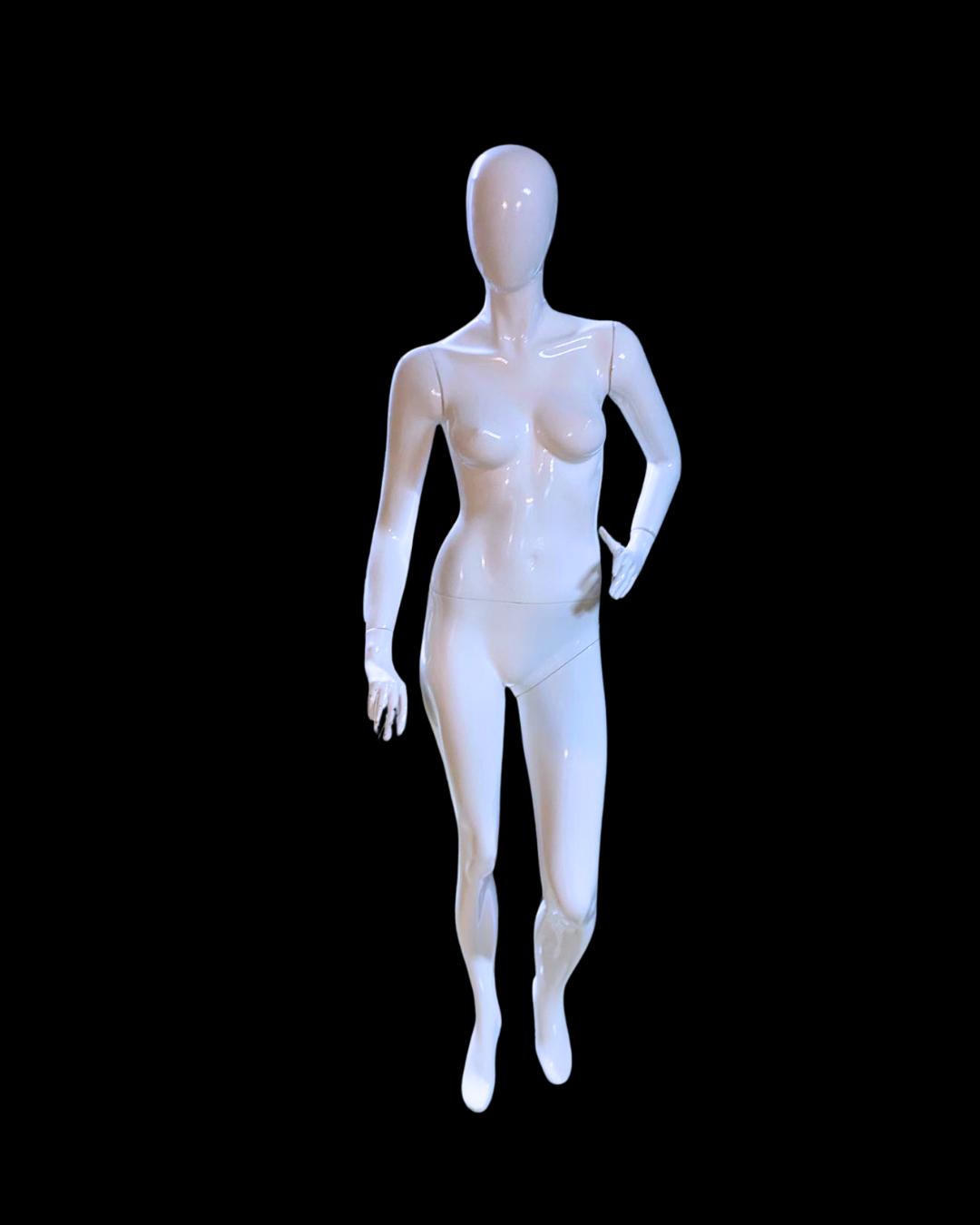 Vitrin Mankeni Kiralama | Uygun Fiyat Avantajı | İstanbul