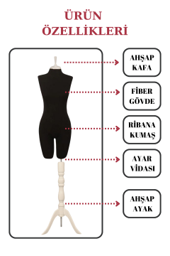 TOPTAN-02536