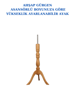 TOPTAN-01079