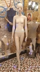 Delüks Bayan Vitrin Mankeni