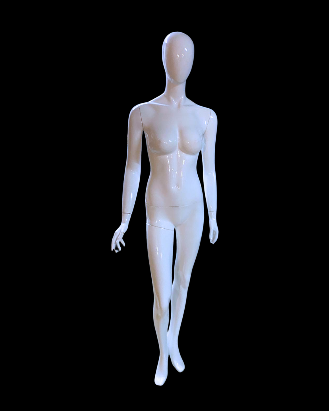 Polyester Tam Boy Bayan Vitrin Mankeni Kiralama