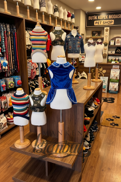 Köpek Vitrin Mankeni - Pet Manken - Köpek Manken