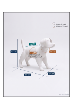 Mini Köpek Vitrin Mankeni - Pet Manken - Köpek Manken