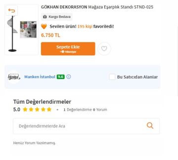 Siyah Eşarp Standı Şal Standı ( 34 Şal Asılabilir )