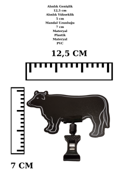 10 Adet Yaz Sil Dana Kuzu Tavuk Keçi Balık Fiyat Etiketi