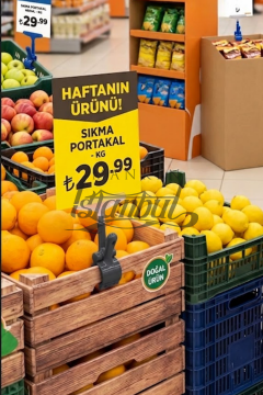 TOPTAN-00455 GRİ