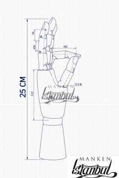 Ahşap Cilalı Sol ve Sağ Bayan El  25 cm-Eskiz El Mankeni